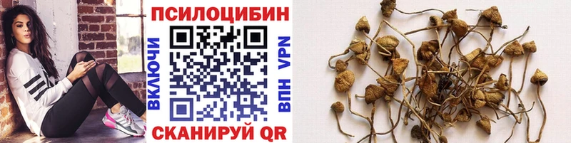 кракен tor  Волгодонск  Псилоцибиновые грибы MAGIC MUSHROOMS  закладки 